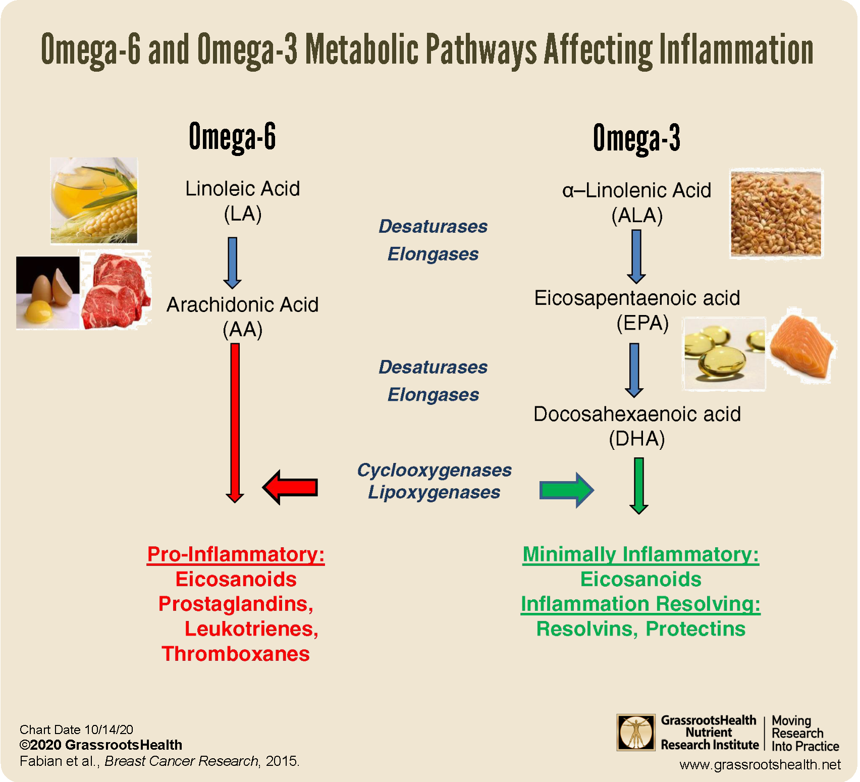 Higher Levels Omega-3 Fatty Acids Shown to Reduce Risk of Breast Cancer - GrassrootsHealth