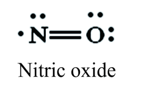 nitric oxide