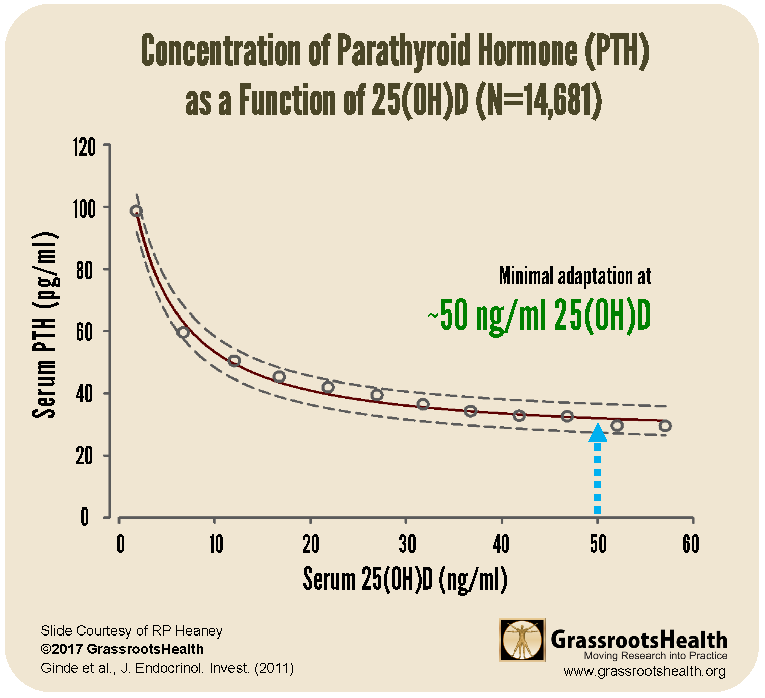 Low Magnesium Alters Vitamin D Parathyroid Hormone