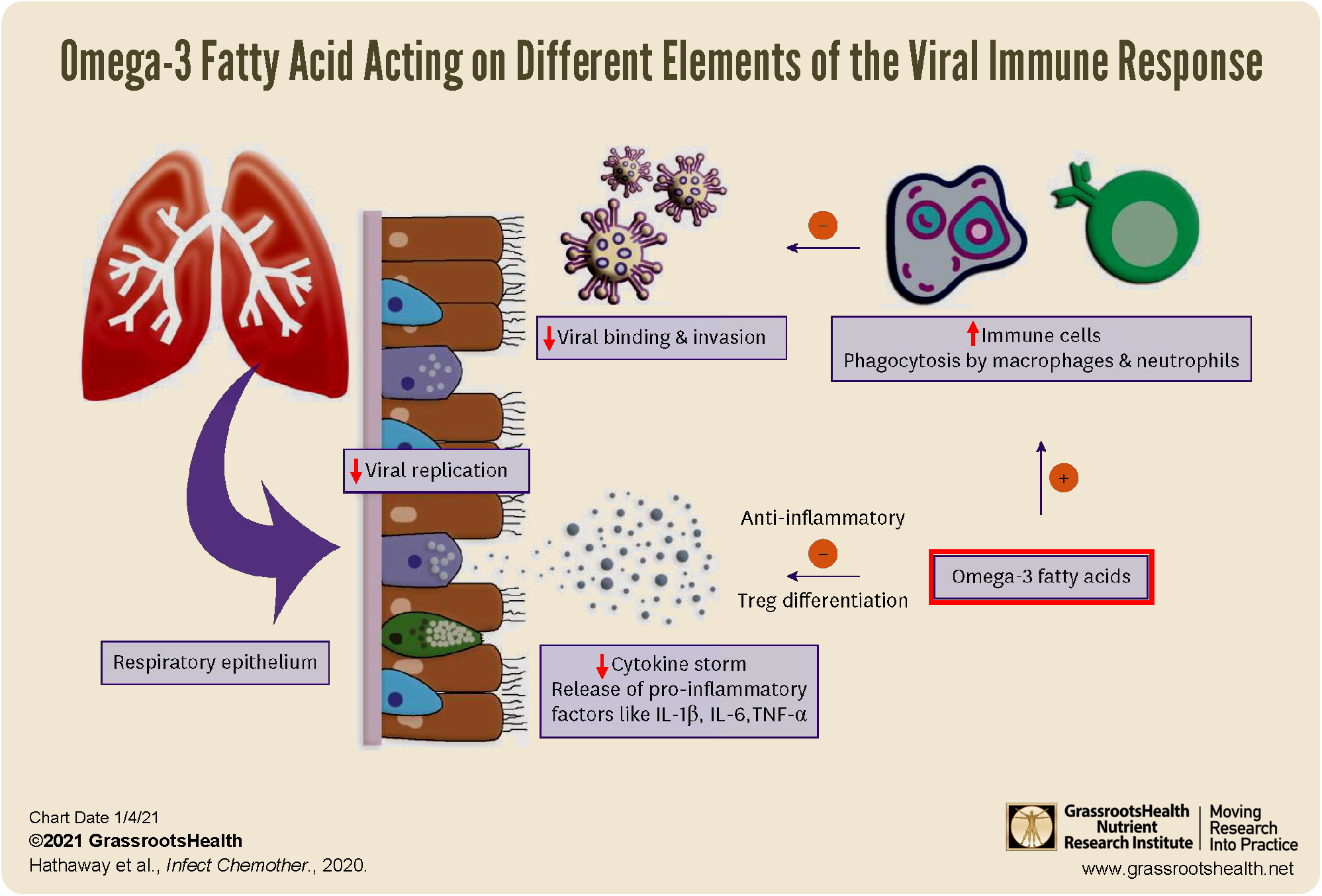 Omega-3 Fatty Acids and COVID-19 - GrassrootsHealth