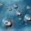 Common Minerals: How Deficiency and Toxicity Can Affect Our Health
