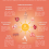 The Pleiotropic Effects of Vitamin D3: Clinical Applications Beyond a Pro-Hormone